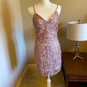 Express mauve lace dress